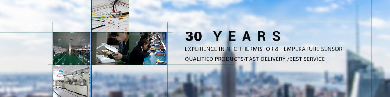 دقیق NTC ترمیناتور